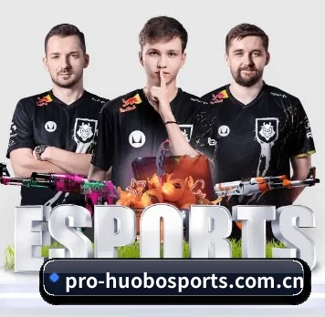 AI 革新（huobosports）